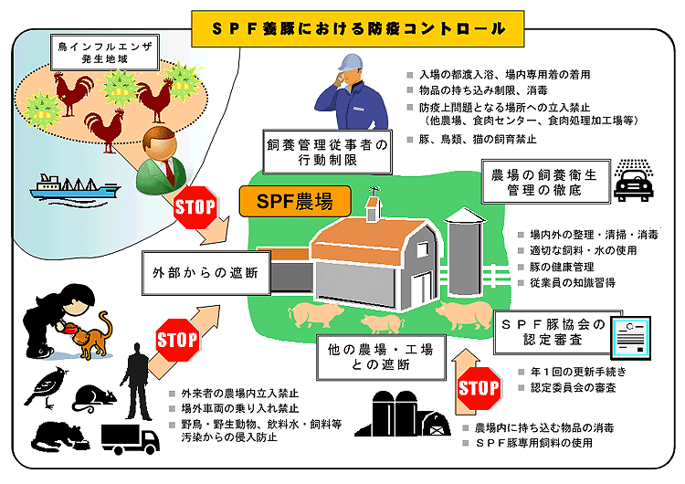 SPF養豚における防疫コントロールのイメージ